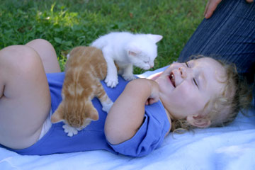 על חתולים וילדים: מחזק את המערכת החיסונית (צילום: shutterstock)