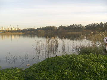 מרכז מבקרים אקלוגי. אגם ראשון לציון (צילום: אריאלה אפללו)