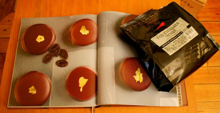 שוקולד של ולרונה בודק באנציקלופדיה מה אפשר להכין ממנו (צילום: שרון היינריך )