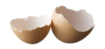 לביצים קטנות קליפה עבה יותר (צילום: iStockphoto)