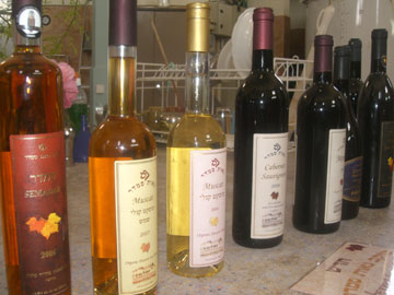 טעימות יין ביקב הקיבוץ (צילום: אריאלה אפללו)