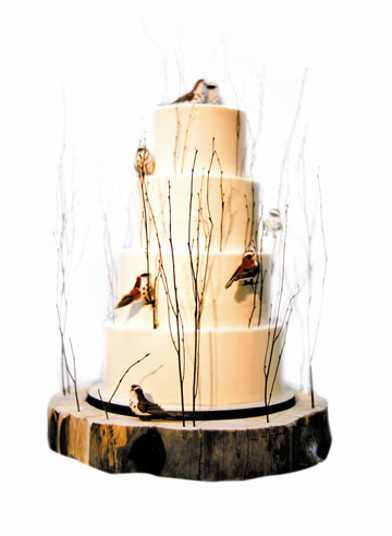 עוגת החתונה של צ'ארלי שין (צילום:  gia canali)