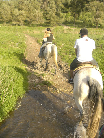 טיול סוסים בחוות דובי (צילום: אריאלה אפללו)