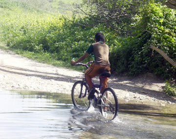 ואפשר לרכוב על אופניים (צילום: אריאלה אפללו)