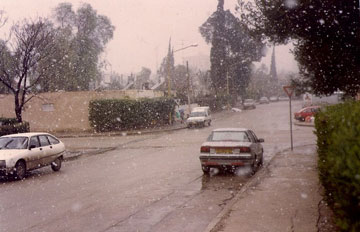 מאורע נדיר בבאר שבע. שלג, חורף 1988 (צילום: איתי כ''ץ)