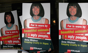 הפגנה נגד אנה ווינטור. ''מי שבוחר ללבוש פרווה מפגין מסר של רוע ואכזריות'' (צילום: gettyimages)