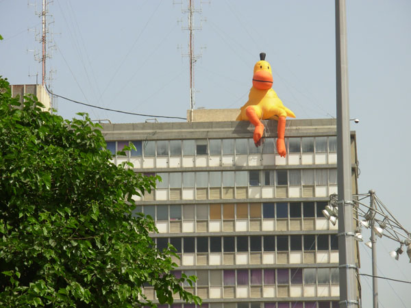 הברווז של דודו גבע על גג עיריית תל אביב לפני שעבר לכיכר מסריק. הילדים שלי יחשבו שזו עבודה של פסל מת מפעם (צילום: באדיבות עיריית תל אביב יפו)