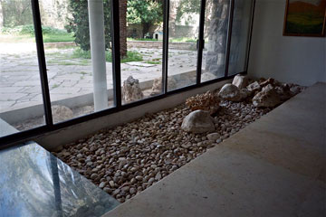 קיר הזכוכית שמשקף את הגן הענקי בתוך הבית (צילום: איתי סיקולסקי)
