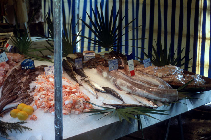 שוק האוכל בבסטיליה. לא דומה לכל שוק אוכל אחר בעולם (צילום:  chadmiller, cc)