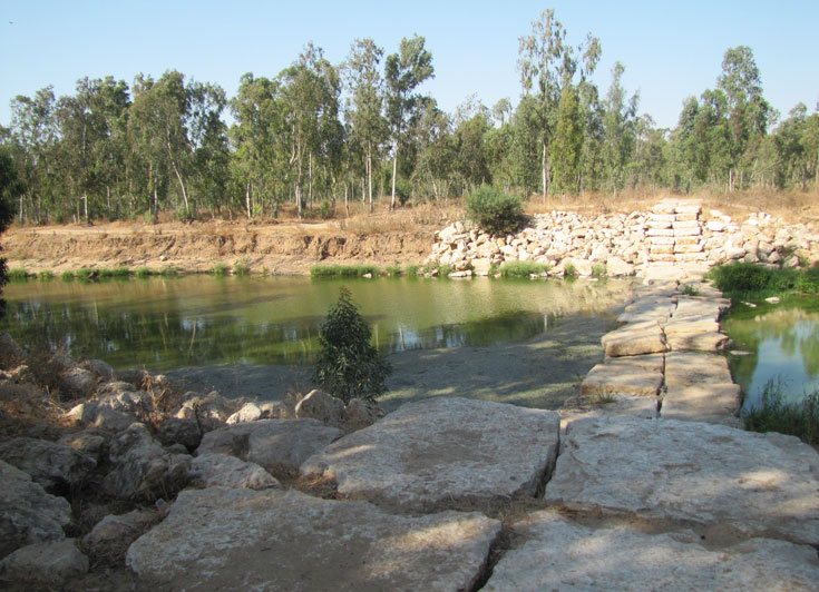 סכר אבנים שהוקם כדי  לסייע בטיהור המים ולחצות את הנחל (צילום: דרור זבדי)