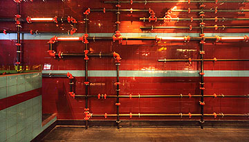 צילום: אמית הרמן צילום: אמית הרמן