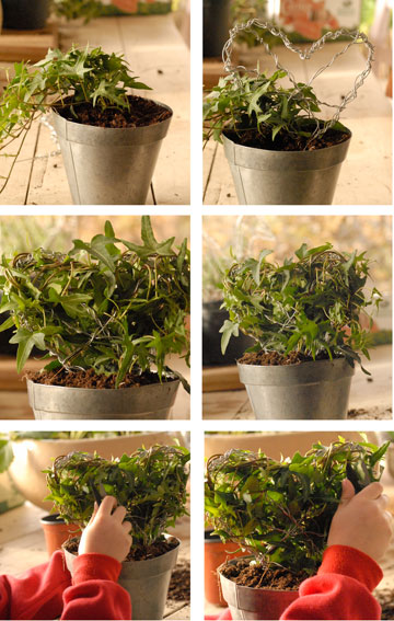 צילום: שושן דגן צילום: שושן דגן