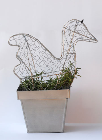 צילום: שושן דגן צילום: שושן דגן