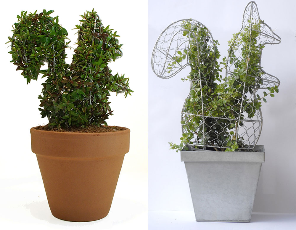 פיסול בצמחים פסל צומח