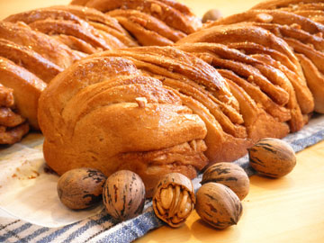 צילום: גלי לופו אלטרץ צילום: גלי לופו אלטרץ