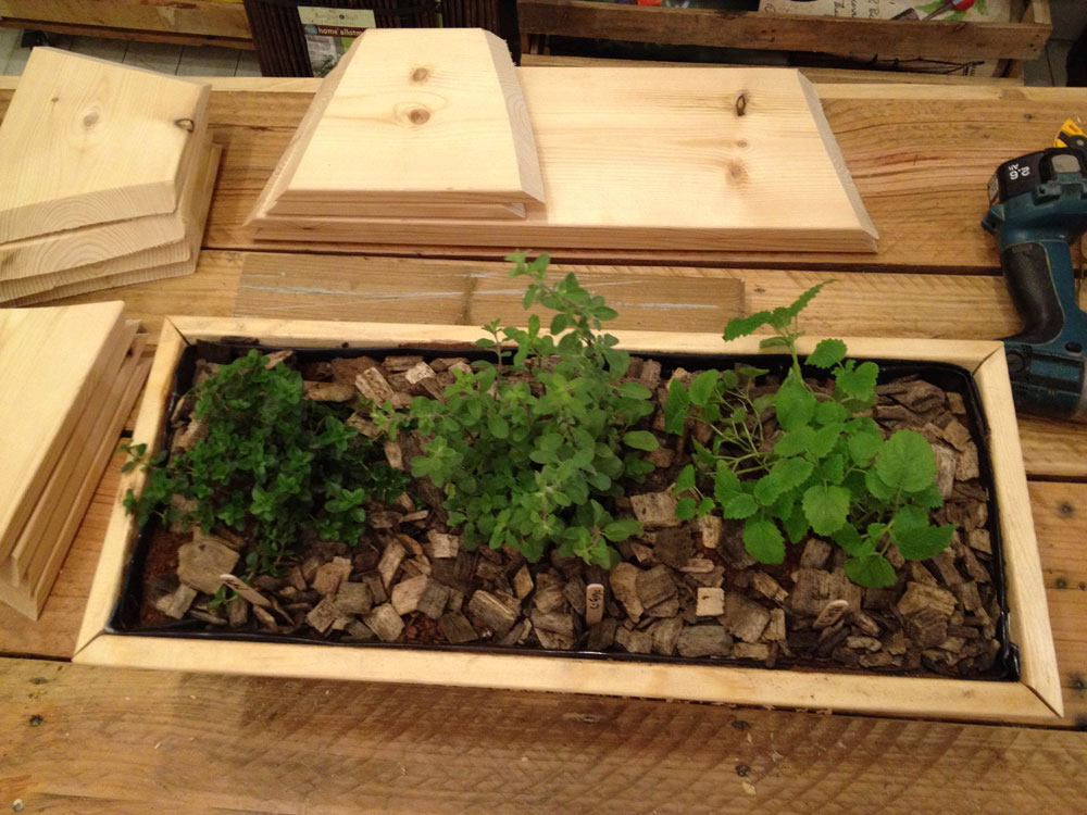 לשימוש בכתבה בלבד אדנית תבלינים