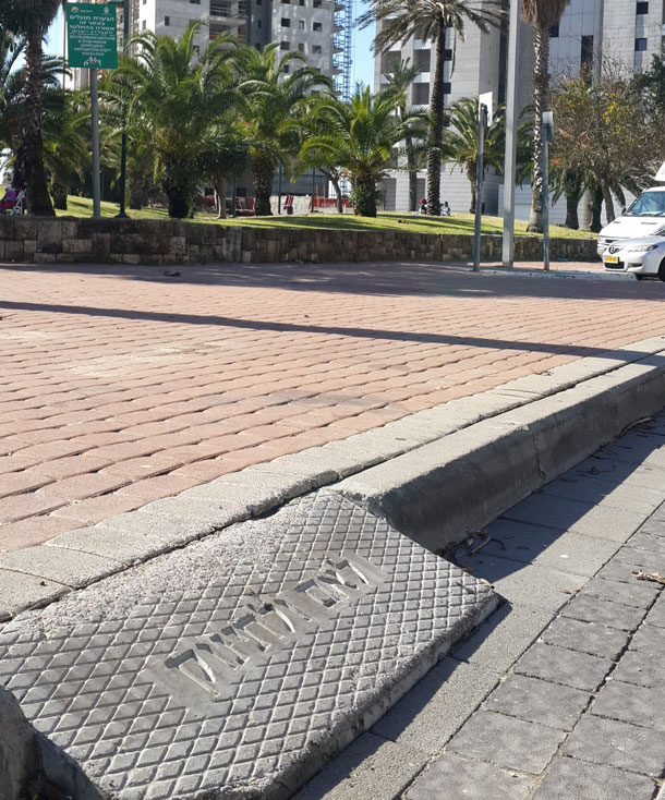 צילום: קארין שי צילום: קארין שי