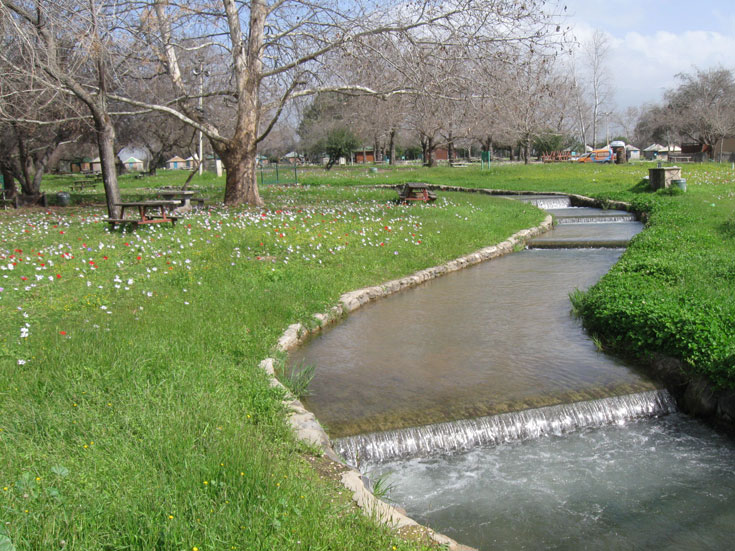 רוצו מהר לפני שהפריחה תסתיים. חורשת טל חורשת טל חרשת טל