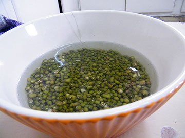 צילום: שירי מזור צילום: שירי מזור