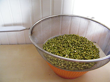 צילום: שירי מזור צילום: שירי מזור