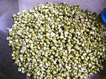 צילום: שירי מזור צילום: שירי מזור