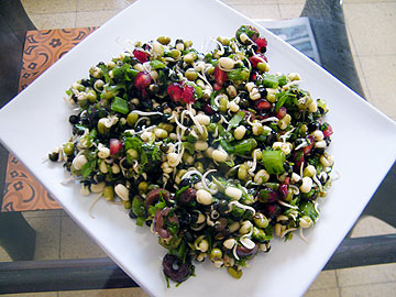 צילום: שירי מזור צילום: שירי מזור