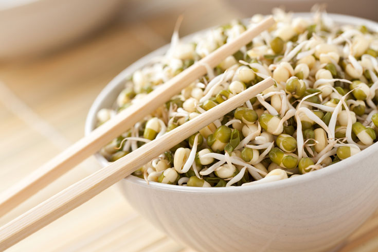 נבטים נבטוטים מאש קטניות