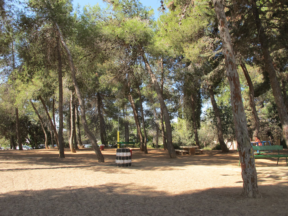 צוות התכנון מתחייב שלא תהיה שום פגיעה במדשאות ושהפסל לא יינזק כלל. התושבים לא רגועים, והעירייה לא משחררת תוכניות גן המפלצת ירושלים