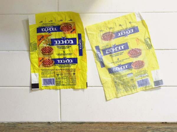 צילום: אסנת לסטר צילום: אסנת לסטר