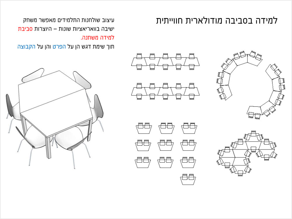 קינג סולומון הכפר הירוק תכנית שרית שני חי