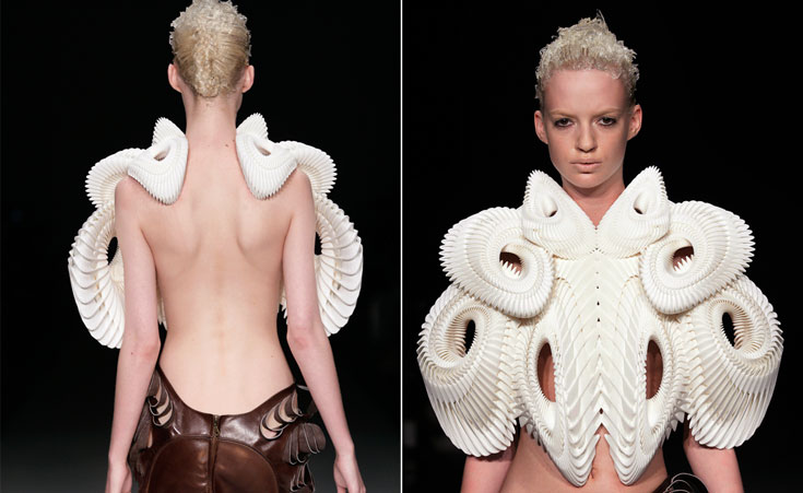 דניאל ווידריג דניאל וידריג 