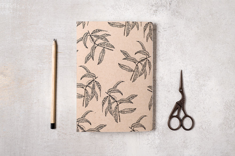 מתנות פסח 2015 חמוטלת