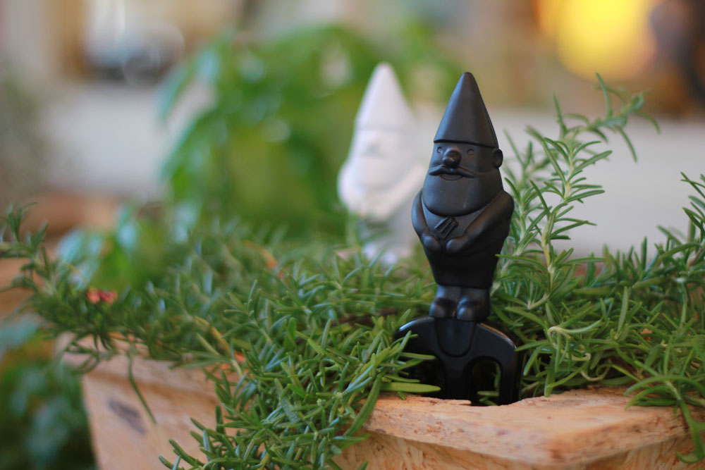 מתנות פסח 2015 מאנקי ביזנס