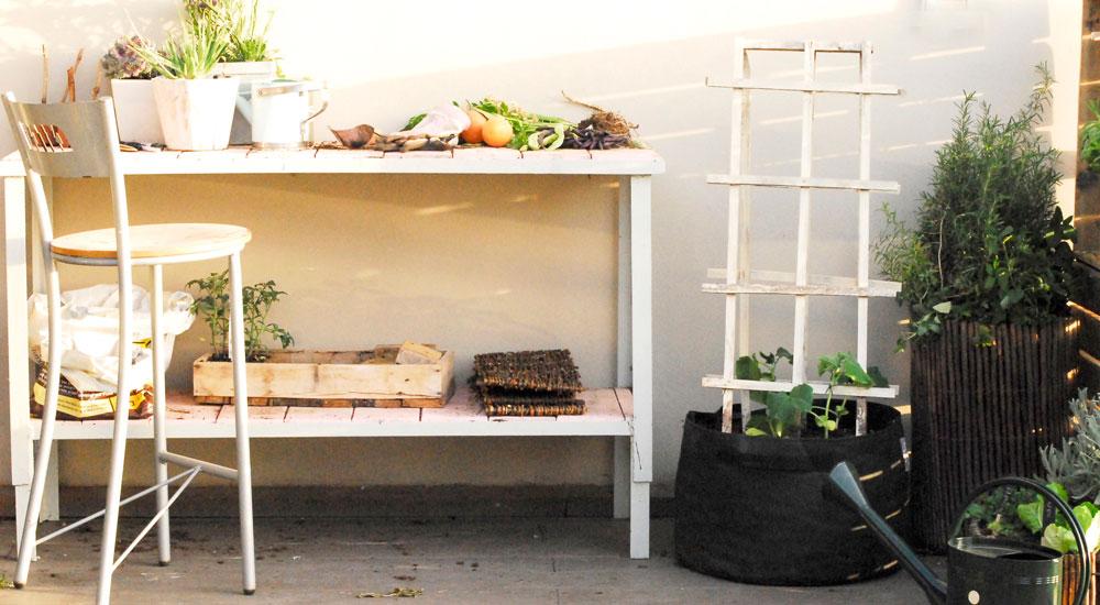 גינת ירק במרפסת