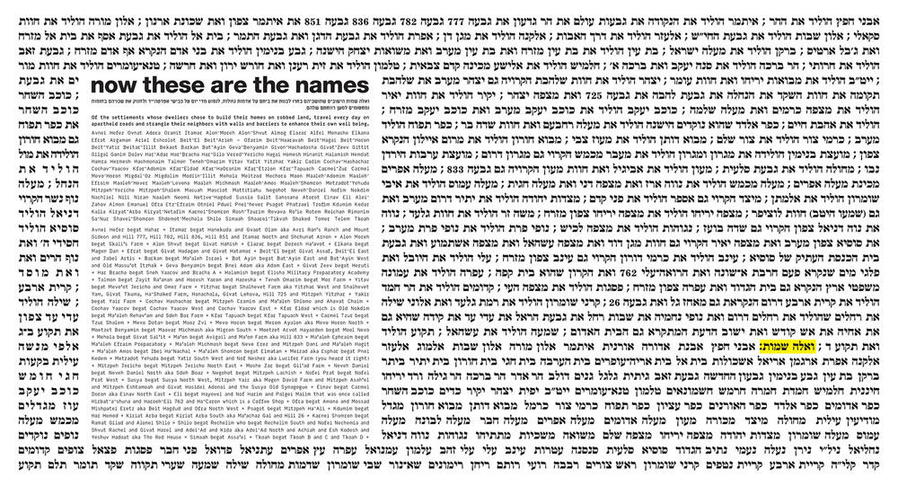 אריאלה ברין בנימיני תמר בר דיין