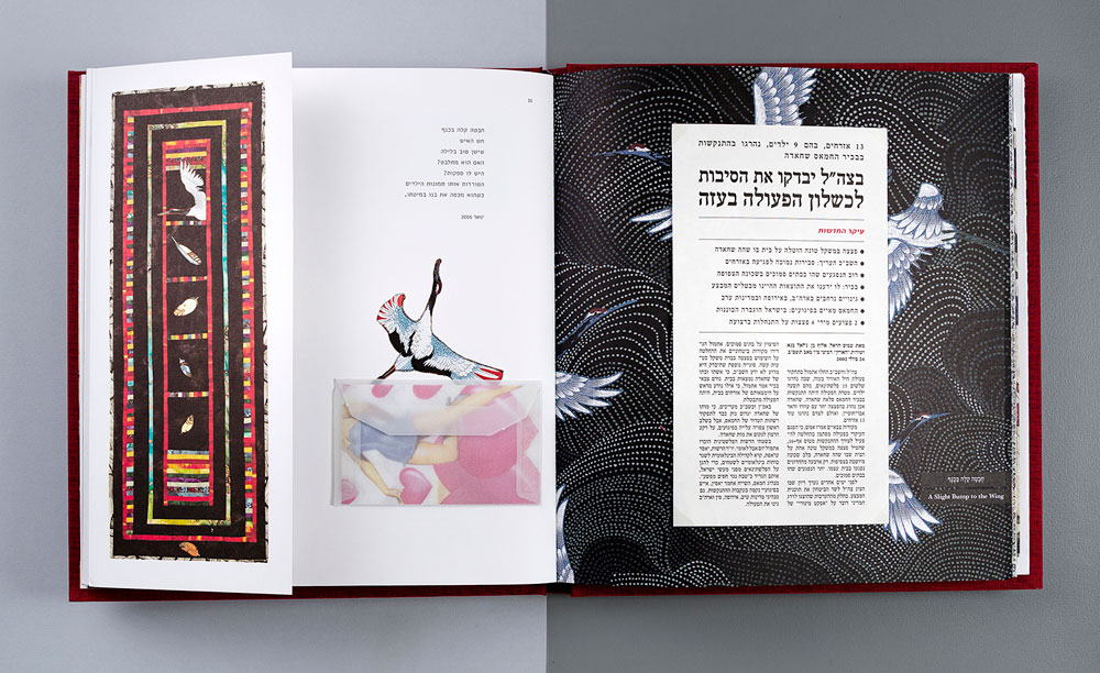 אריאלה ברין בנימיני תמר בר דיין