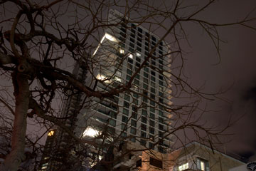 צילום: סיוון אלירזי צילום: סיוון אלירזי