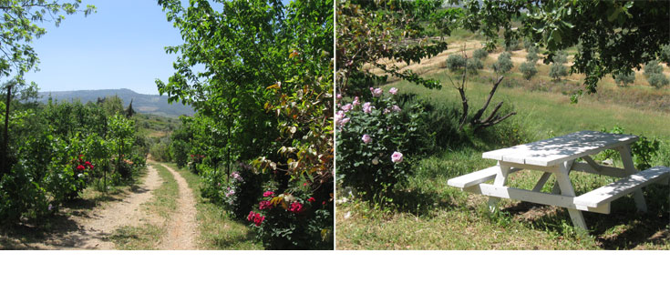 חוות ואדי ינשוף ראש פינה