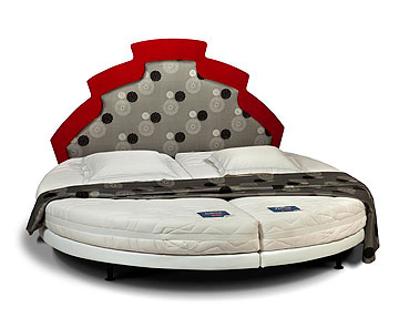 צילום: אלכס אלמן צילום: אלכס אלמן