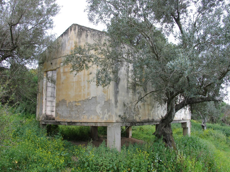 מהות החיים שחר שילוח נטוש מבנה 1 
