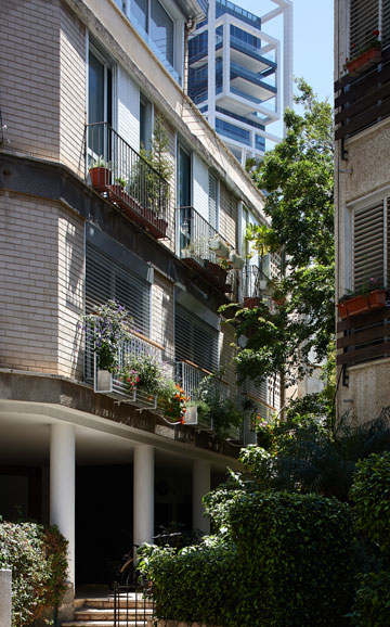 צילום: עדי גלעד צילום: עדי גלעד