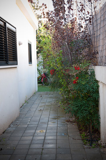 צילום: גלית דויטש צילום: גלית דויטש