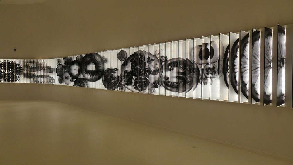 לשימוש הכתבה בלבד אקספו מילאנו 2015 קוריאה