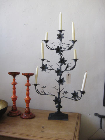 צילום: זיו תדהר צילום: זיו תדהר