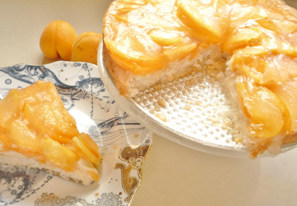 צילום: עינת מזור צילום: עינת מזור