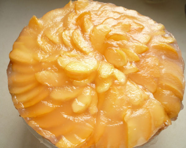 צילום: עינת מזור צילום: עינת מזור