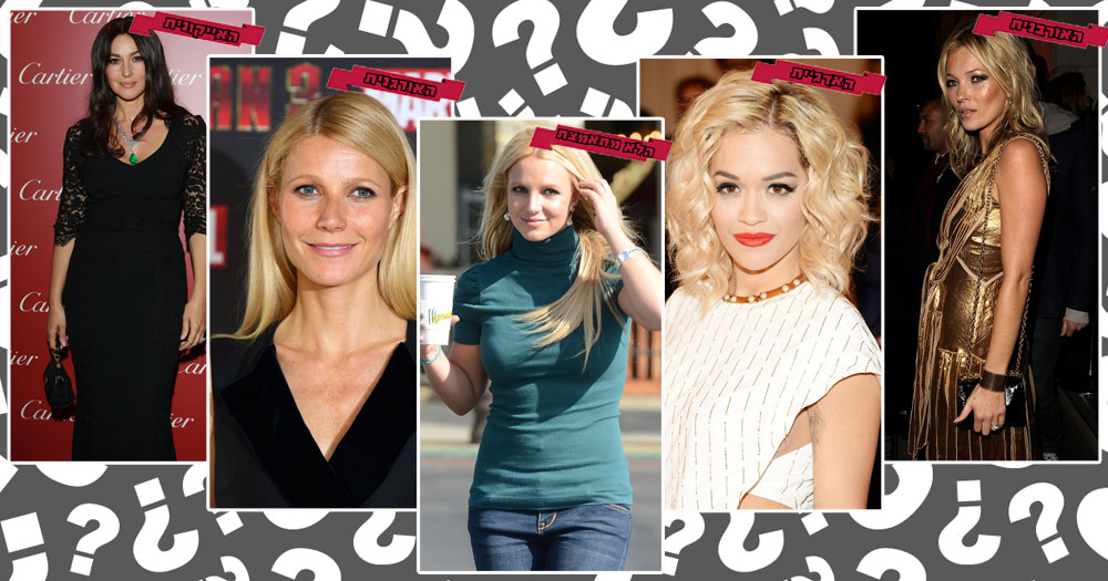 לשימוש חד פעמי לשימוש גו סטייל גו סטייל טיפוח סלבס 