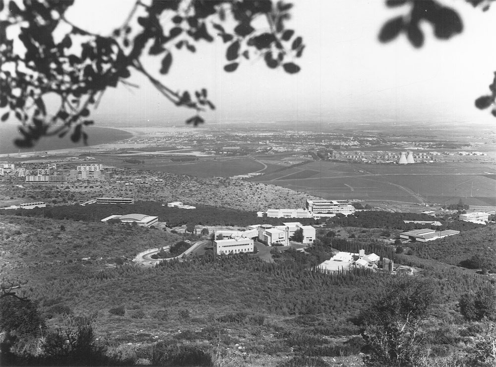 בן גוריון הורה לנתק את הטכניון מחיפה, והעביר אותו מהדר אל בועה מנותקת. הדר, וחיפה כולה, לא הרוויחו מכך. נאמני העצים של פעם דאגו לשמור על הפסטורליה, שמאפיינת אותו עד יום טכניון היסטוריות