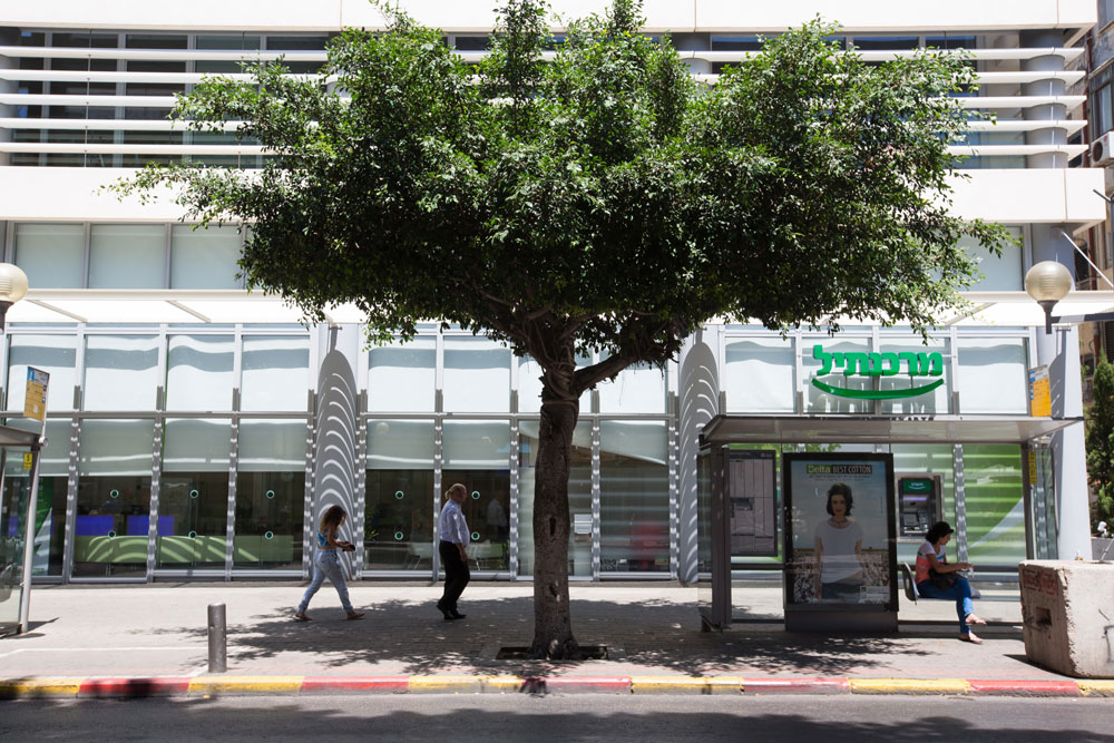בן יהודה צל גודוביץ