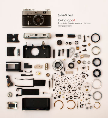 צילום: גבי מנשה צילום: גבי מנשה